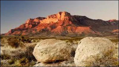 The capital of Texas is Dallas