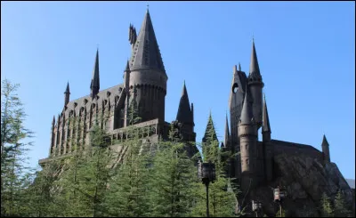 Which Harry Potter house represents the lion?