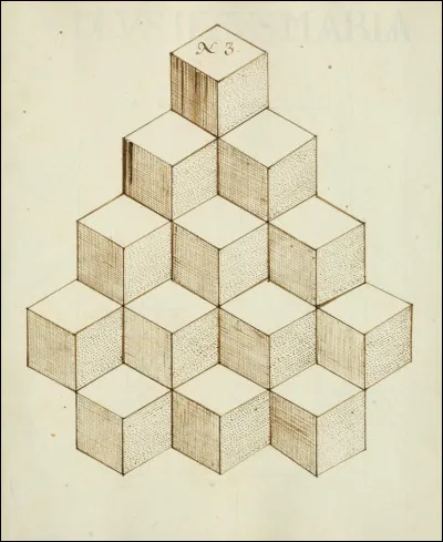 Geometry: what is the perimeter of a 4 cm square?