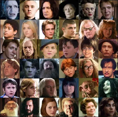 Which Harry Potter character is a Gemini?