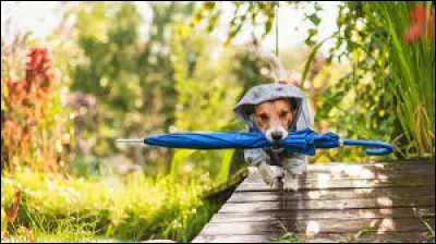 What does "bad weather" mean?