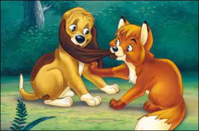 In the Disney film "Rox and Rouky", what is the dog's name?
