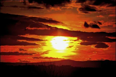 Who is the author of the book The Midnight Sun?