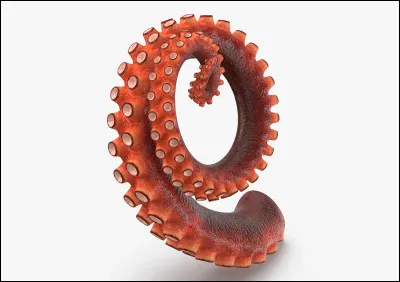 In this anime, we often talk about tentacles.