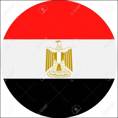 Which country does this flag belong to?