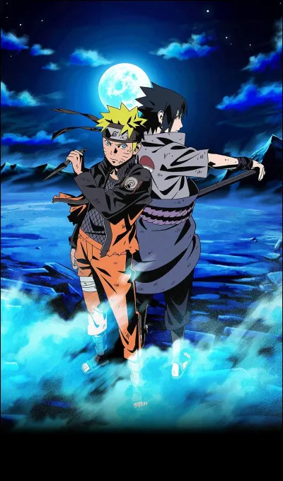 Sasuke and Naruto performed the same number of D missions.