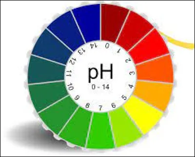 Science: What is a solution with a pH value of "10" like?
