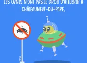 Quiz Les lois débiles