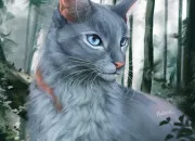 Quiz LGDC - Étoile Bleue ou Étoile de Brume ?