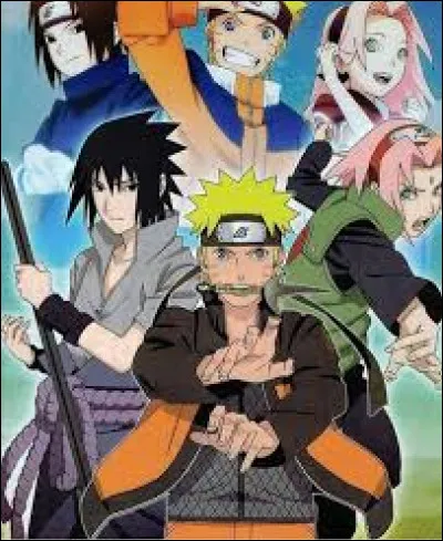 Who is a ninja weapons specialist?