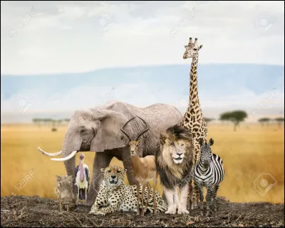 In which school subjects can we study animals?