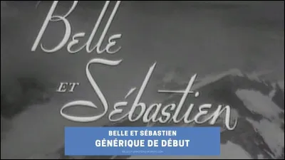 In ''Belle et Sebastien'', which animal is Belle?