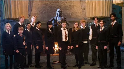 To learn spells on the sly, Dumbledore's army would gather in the room on demand (5th year).