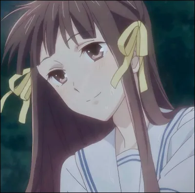 Which manga does Tohru Honda come from?