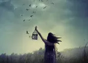 Quiz Vive les oiseaux en culture générale !
