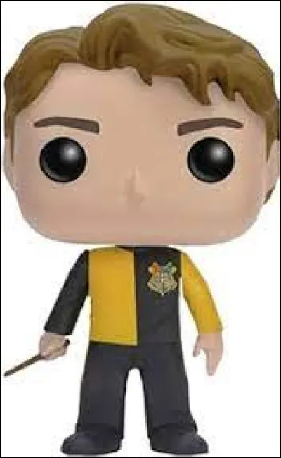 Who is Cedric Diggory's killer?