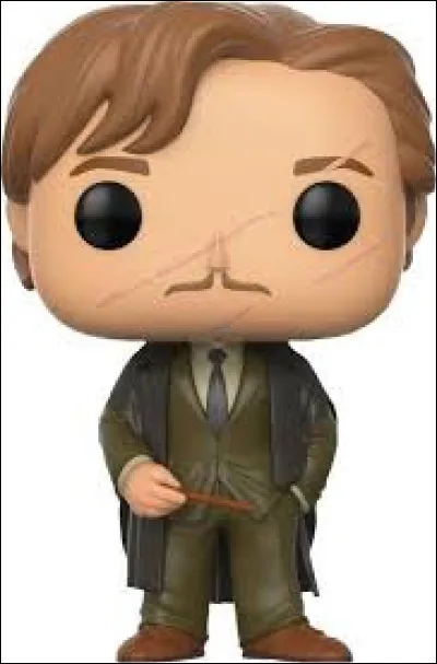 Who is Remus Lupin's son?