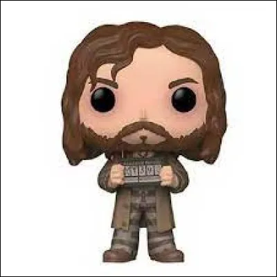 What was Sirius Black's number in Azkaban?