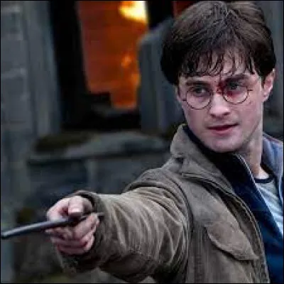 What is Harry Potter's blood status?