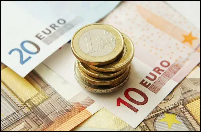 In which decade was the euro launched?