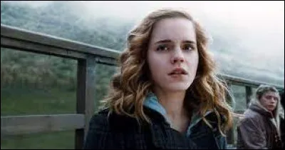 Where did we see Hermione?