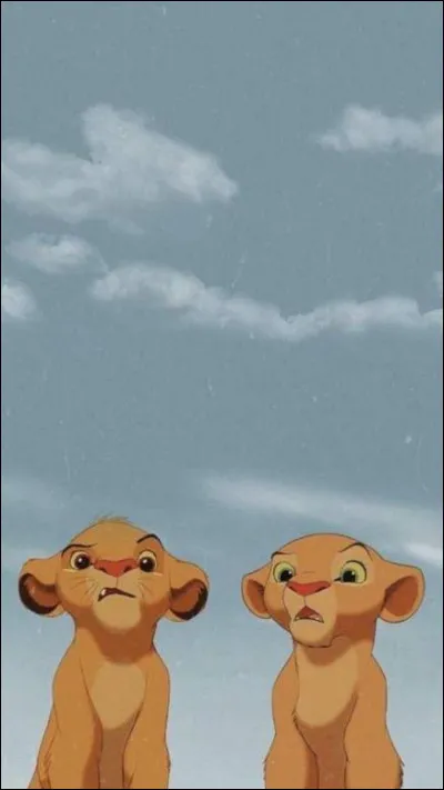 The Lion King film soundtrack was composed by Alan Menken.