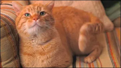 What is this character's name?