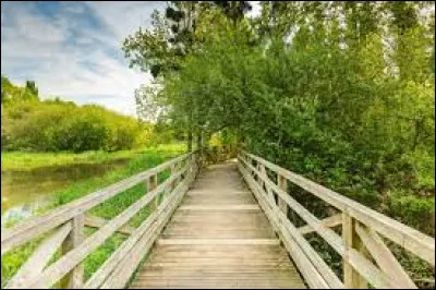 What needs to be added to pro to obtain the synonym of the word balade?