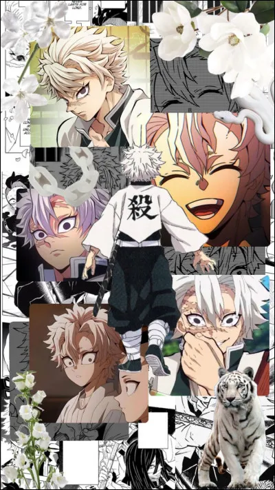 Sanemi Shinazugawa is the Pillar of: