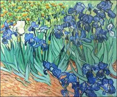 Who painted this picture entitled Iris?