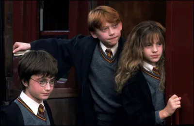 In which house are Harry Potter, Hermione and Ron?