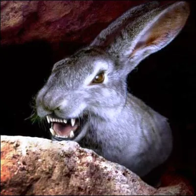 Which animated film duo has come face to face with a were-rabbit?