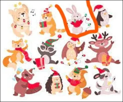 Now we move on to another picture!
What is this framed animal?