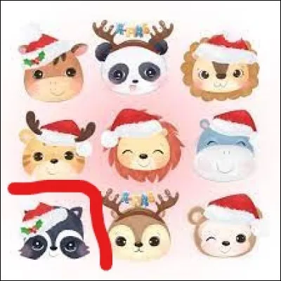 Which animal is in red?