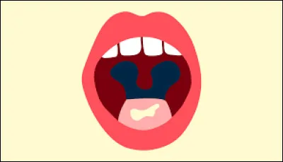 Does Switzerland have more or fewer official languages than Belgium?