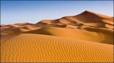 The Sahara is the world's largest desert.