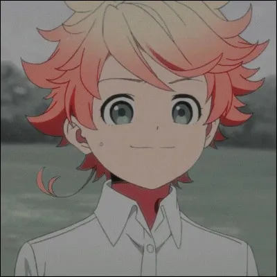 Does this character belong to One Piece or Demon Slayer?