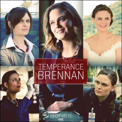 Temperance Brennan is the main character in :