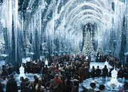 Test Quelle serait ta robe et qui serait ton cavalier au bal de Noël de Poudlard ?