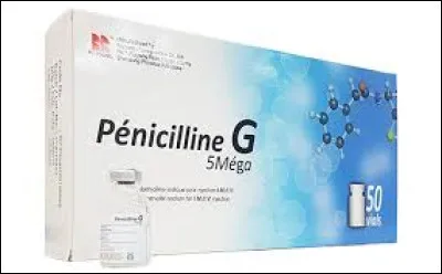 Who discovered penicillin?