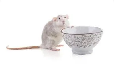 Je suis enerve, j'en ai :