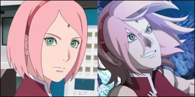 Who is Sakura?