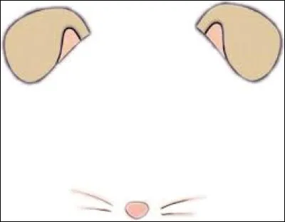 If I say mouse ear, which flower do you think of?