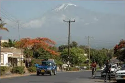 Where is Moshi located?