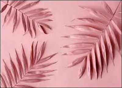 The color pink is pink in German.