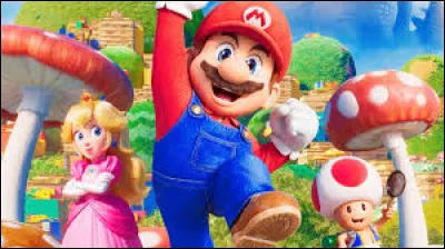 Tick the right answer!