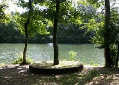 Which island in the Seine was most often painted by Auguste Renoir and Claude Monet?