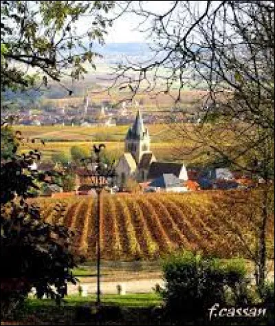 We end our walk in Ville-Dommange. A wine-growing village on the Montagne de Reims, it is located in the department ...