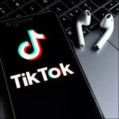The TikTok social network is Japanese.