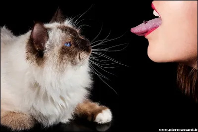 Which expression corresponds to this image?